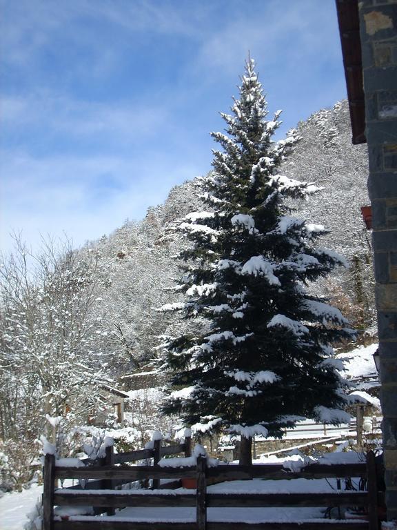 Hotel Vina Olivan Sarvise Exterior photo